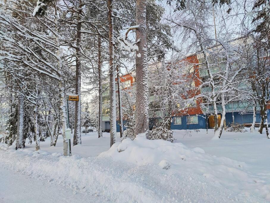 Spacious Apartment With Balcony And Free Wifi Rovaniemi Exteriér fotografie